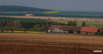 Májový koncert sborů Sagitta a Song Ladies v ambitu plasského kláštera.